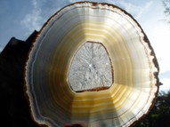 Etheric Agate Slice AGT024