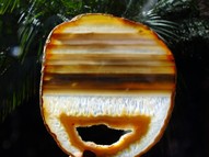 Banded Agate Slice AGT030