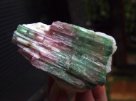 Bicolor Tourmaline Rough in Matrix TRM064