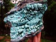 Wonderful Botryoidal Chrysocolla Cluster CHY012