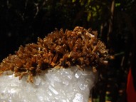 Elestial Quartz Crystal with Eosphorite QTZ024