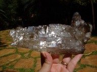 Beautiful Elestial Quartz Crystal (Barnacle crystal) QTZ059