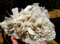 Wonderful Cluster of Quartz pseudomorph Anhydrite QTZ023