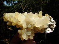 Yellow Calcite on Quartz pseudomorph Anhydrite CAL051