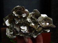 Flawless Cluster of Mica Muscovite MIC029