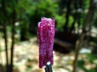 Rubellite Crystal with Childrenite TRM068